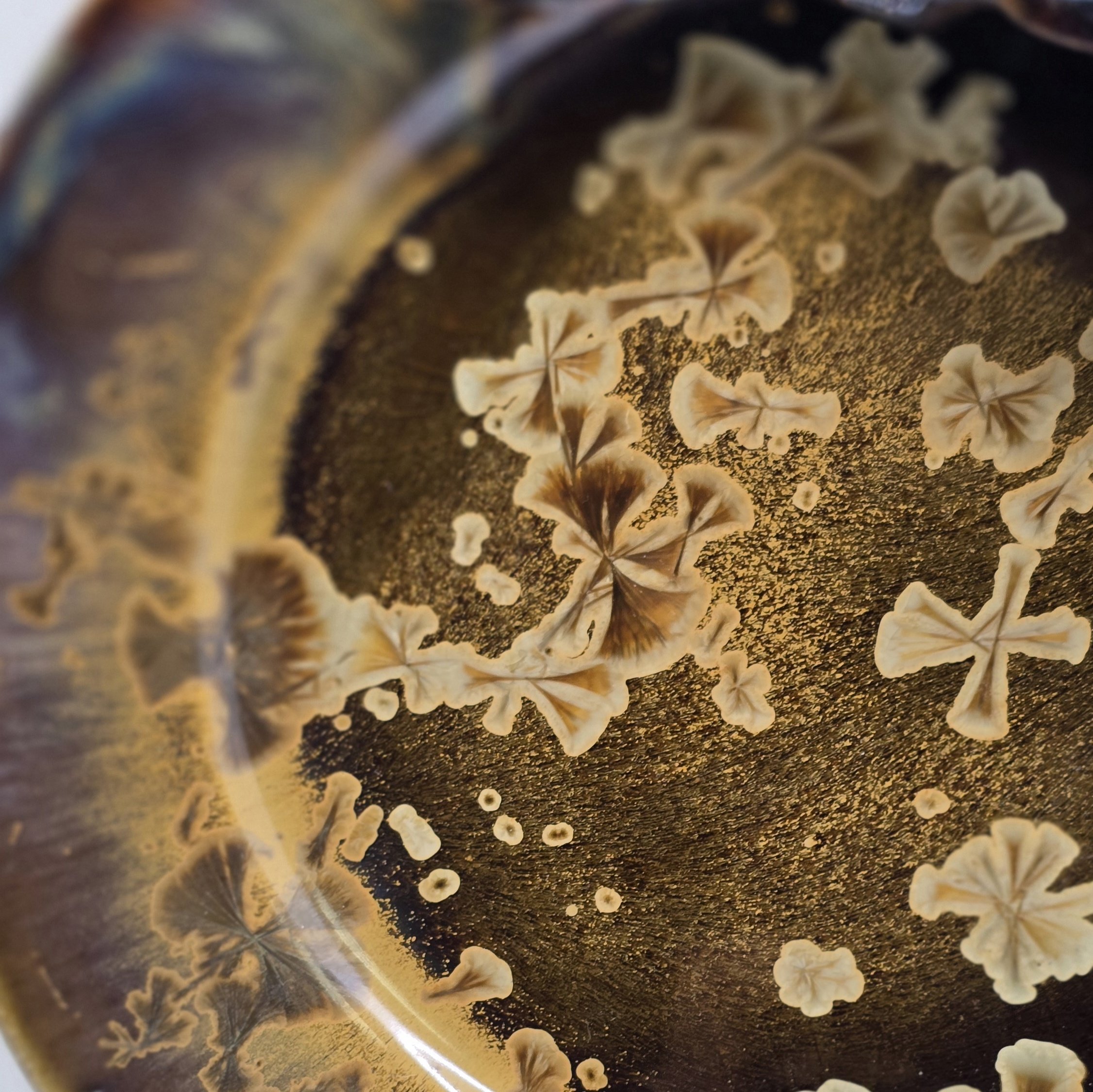 Taldrik ArtRose Collection diam 23,5 cm Kuldpruun - Image 3