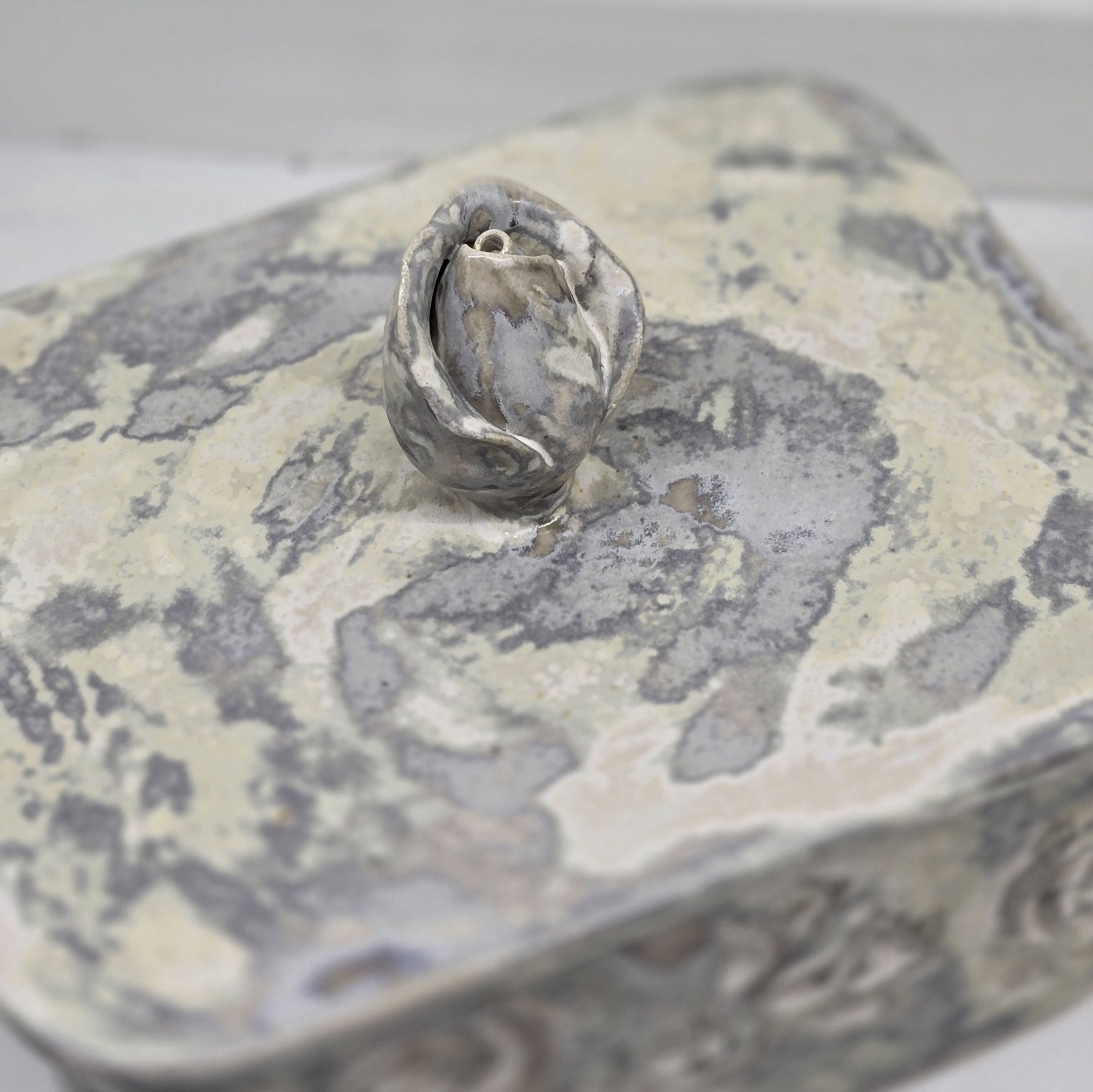 Võitoos Dolomite roos, roosipung - Image 3